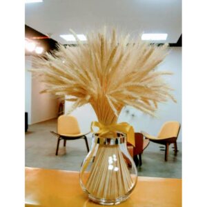 40 Trigos seco para decoração ceia igreja Festa aniversario.